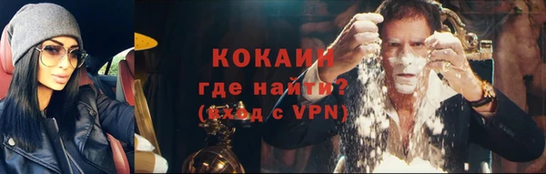 шишки Волоколамск