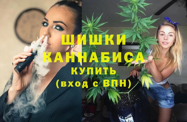 шишки Волоколамск