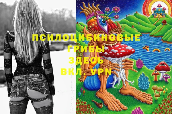 дживик Волосово