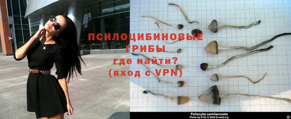 дживик Волосово