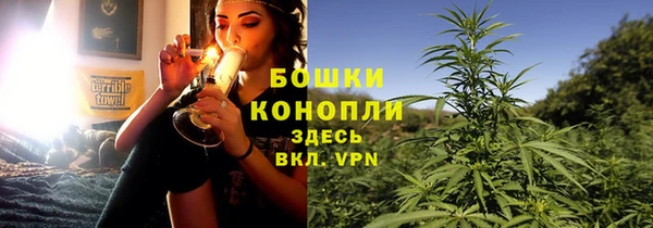 шишки Волоколамск